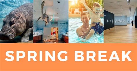 SPRING BREAK. No Classes. SUMMER 2024. DATES. EVENT. INFORMATION. May 6. Classes Begin: Trimester, Subterm A, Module 1. May 10. Drop/Add Deadline. Last day to add/drop courses without financial responsibility. May 27. MEMORIAL DAY. Campus Closed - No Classes. May 31. Module 1 Ends. June 1. Module 2 Begins. June 26. Module 2 …. 