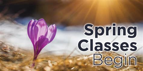 Spring classes. Things To Know About Spring classes. 