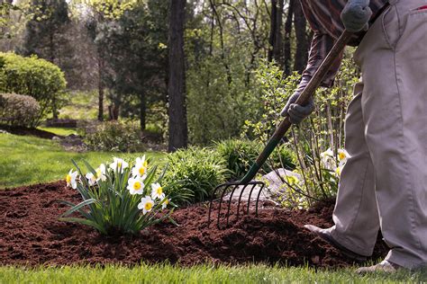 Spring clean up landscaping. Hand-Turn All Garden Soil. Once the snow has melted, grab a spade and some compost–this is the optimal time to hand-turn all your garden soil. It might seem like a big … 