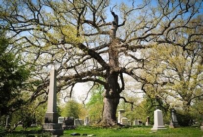 Spring grove cemetery wedding.  Spring Grove, a National Historic Landmark, was chartered in 184...