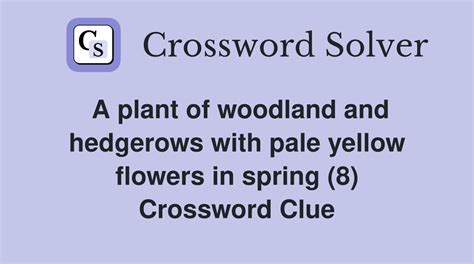 Spring woodland flower - Crossword Clue, Answer and Explanation