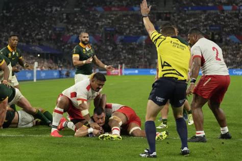 Springboks have earned back respect from referees at Rugby World Cup, Erasmus says