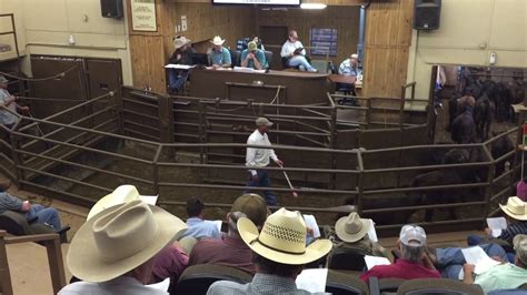 Springfield livestock auction. Things To Know About Springfield livestock auction. 