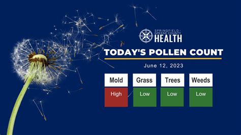 Get 30 Day Historic Pollen Levels for Springfield, MO (65806). See important allergy and weather information to help you plan ahead.. 