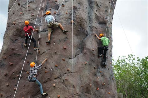Springfield rock climbing.  Top 10 Best Climbing in Springfield Lakes Queensland, Australia - ...