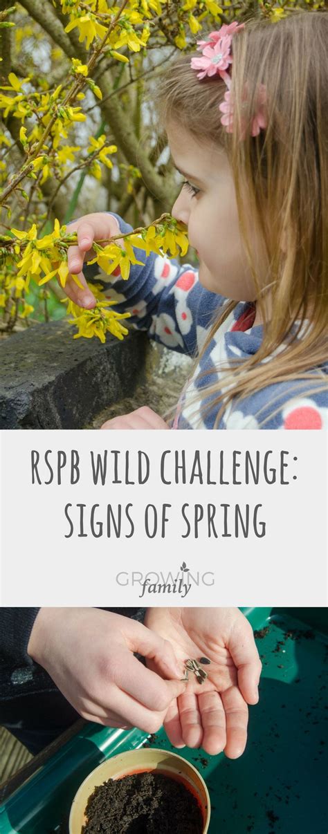 Springo! - The RSPB