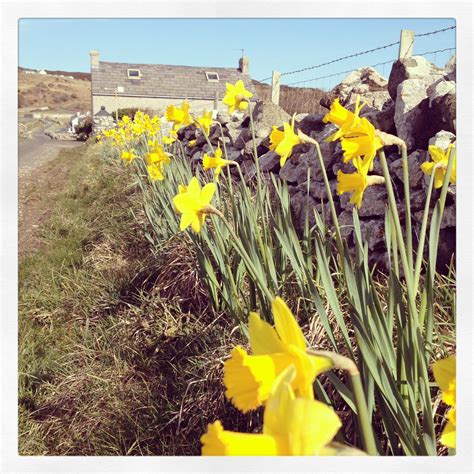 Springtime in Ireland is... - Byways & Backroads of Eire