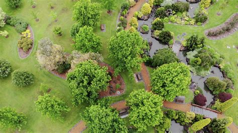 Springvale cemetery live stream.  Magnificent, diverse, historically and culturally rich.  2...