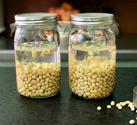 Sprouted tofu. December 30, 2017. Share Tweet. Are you thinking about going the extra distance to make your own tofu? Here’s how to make Sprouted Tofu with only soybeans, water, and lemon juice. This method will assist you step-by-step … 