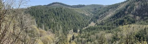 Spruce Run Creek Trail: 38 Reviews, Map - Oregon AllTrails