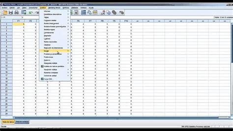 Spss app free download. 2 days ago · SPSS® Statistics is a powerful statistical software platform. It delivers a robust set of features that lets your organization extract actionable insights from its data. SPSS assists in the analytical process with abilities in planning, data collection, data access, data management and preparation, analysis, reporting, and deployment. The easy-to-use … 