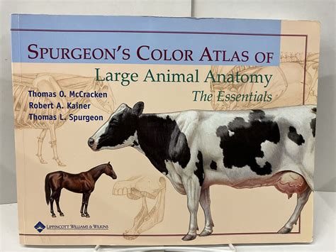 Read Spurgeons Color Atlas Of Large Animal Anatomy The Essentials By Thomas O Mccracken