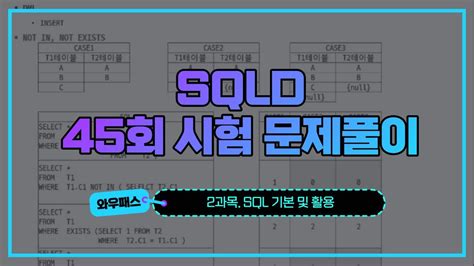 Sqld 시험 신청