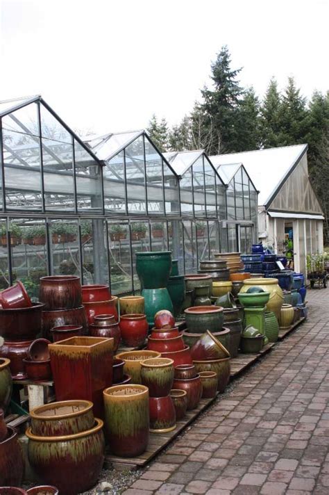 Squak Mt Greenhouses & Nursery - Issaquah, WA 98027