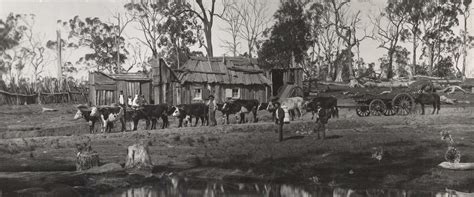 Squatters nsw.  Learn about land acts, peacocking, and more.  2015 As ...