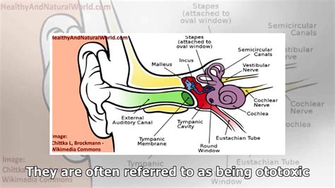 Squeaking noise in ear when moving jaw