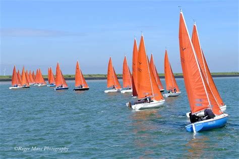 Squib Gold Cup 2024 at the Royal Corinthian Yacht Club, Burnham