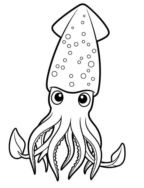 Squid Coloring Shee
