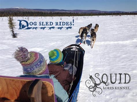 Squid acres kennel.  You&rsquo;ll get the chance to meet the dogs, one on one.  Among her other r...