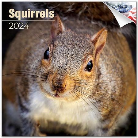 Squirrel 2024 Calendar