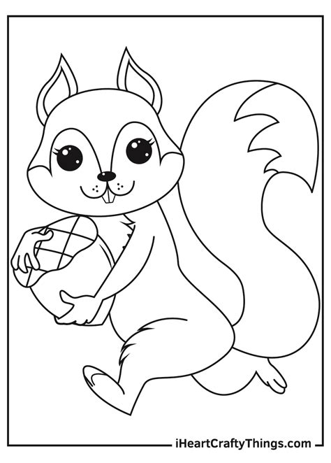 Squirrel Coloring Shee