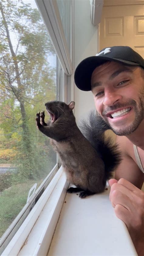 Squirrel Dad Xxx Video