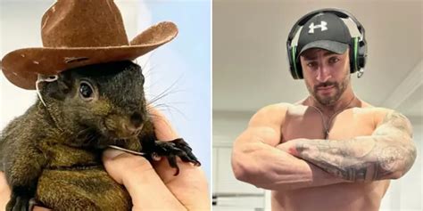Squirrel Daddy Of Xxx Video