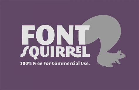 Squirrel Font Download