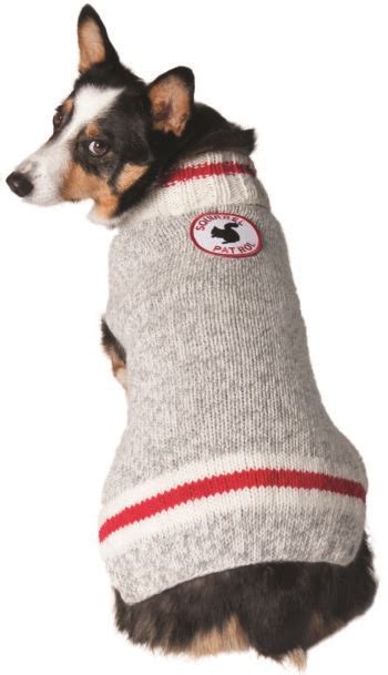 Squirrel Patrol Wool Dog Sweater - Chilly Dog Sweaters