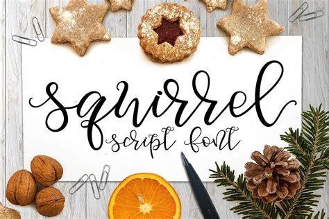 Squirrel Script Font (46998) Script Font Bundles