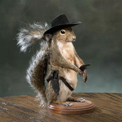 Squirrel mount ideas. Hunter Squirrel Taxidermy Mount.  Just attach a v...