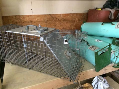 We offer Trapping & Exclusion for small or large animals. Once your home is sealed up we leave one open area with a trap door to allow anything inside of your home to get out without dying inside. Need expert rodent & wildlife removal? Look no further than The Squirrel Guys in Vestavia, Birmingham, Hoover, Mt. Brook, AL. Call us at 205-282-0400.. 