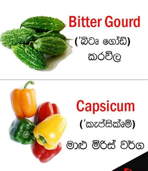 Sri Lanka Vegetables English Names