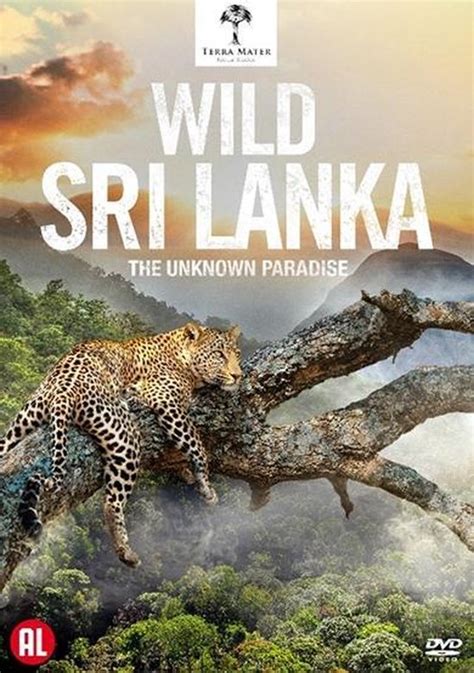 Sri lanka dvd xvideo mp4 video. .  <a href=https://siska.smkmitrakarya...