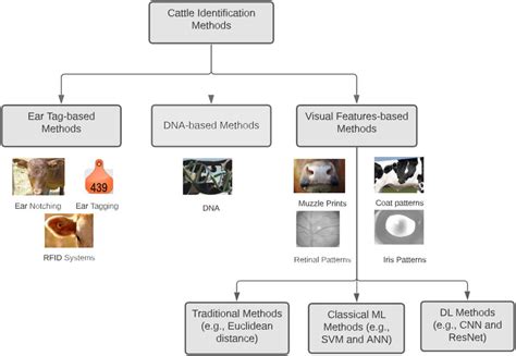 Ssest matlab.  This example shows several identification methods available i...
