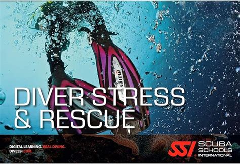 Ssi diver stress and rescue manual. - Hyundai accent clutch replace repair manual.