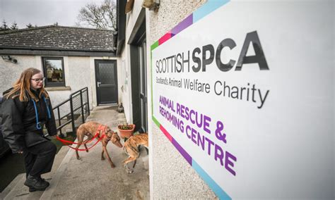 Sspca - Are you happy for us to contact you via: If you wish to report an injured or distressed animal, please call our animal helpline on 03000 999 999. If you’ve come across an animal in need, please don’t take it to your local centre. Instead, please call our animal helpline – which is open from 8am to 8pm every day – to report it. 