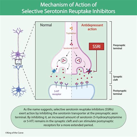 Ssri energy reddit.  They are also called neurotransmitters. Selective s...