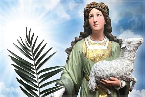 St agnes magnolia. Things To Know About St agnes magnolia. 