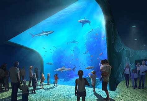 St louis aquarium at union station. Buy Tickets. Get Onboard! Exciting things are happening here at St. Louis Union Station. The St. Louis Wheel, St. Louis Aquarium at Union Station , Carousel , Mini Golf, … 