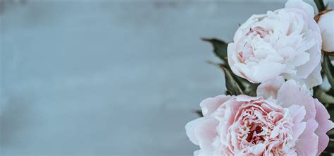 St thomas funeral home.  Offer condolences/tributes, send flowers or create ...