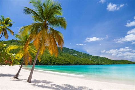 St thomas usvi best beaches. Best Virgin Island Beaches · Denis Bay · Trunk Bay · Cinnamon Bay · Hans Lollick · Lindquist Beach · Little Cinnamon Bay · Magens B... 