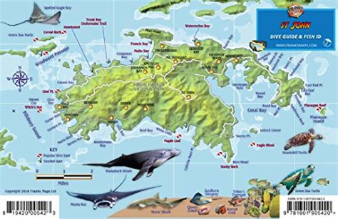 Full Download St John Usvi Dive Map Fish Id Virgin Islands Franko Maps Waterproof Fish Card By Franko Maps Ltd