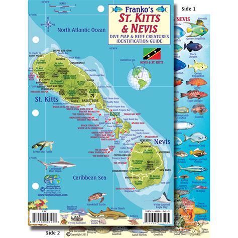 Read Online St Kitts  Nevis Dive Map  Reef Creatures Guide Franko Maps Laminated Fish Card By Not A Book
