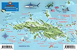 Read St Thomas Usvi Dive Map Fish Id Virgin Islands Franko Maps Waterproof Fish Card By Franko Maps Ltd