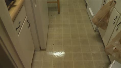 St. Louis County cites landlord for 80-year-old's flooded kitchen
