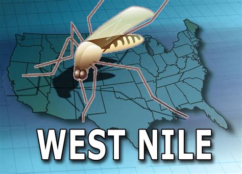 St. Louis County reports first case of West Nile Virus this year