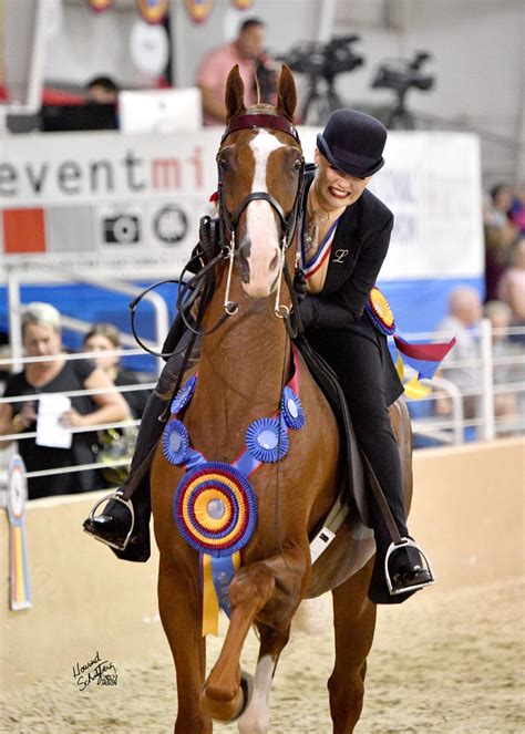 St. Louis National Charity Horse Show Support & Sponsorship