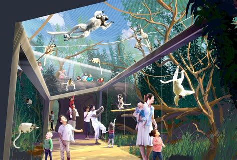 St. Louis Zoo unveils new attractions