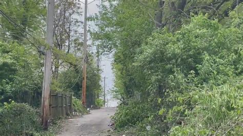 St. Louis clears out overgrown bushes in alleyways